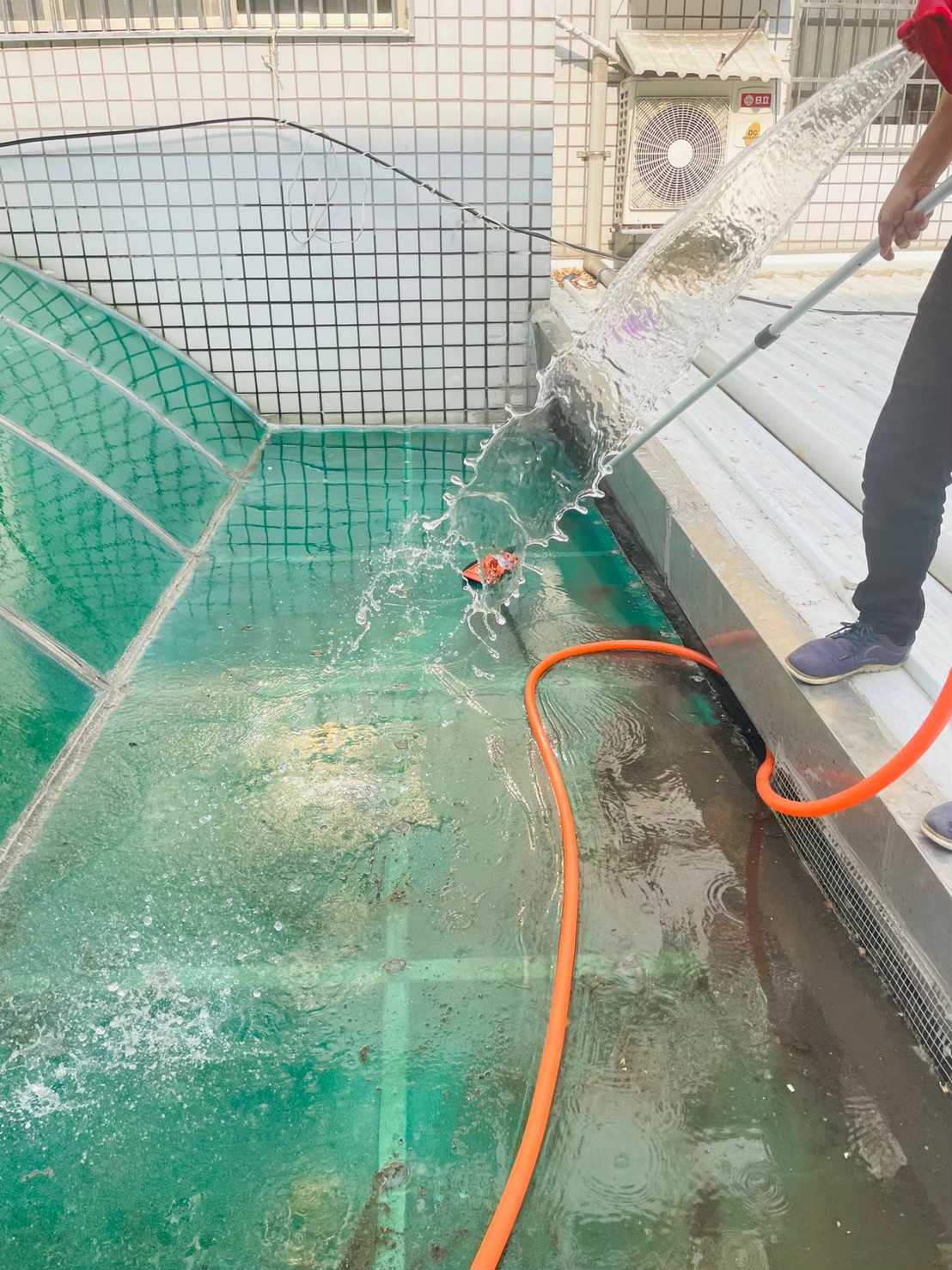 高雄湯姆熊門店雨棚清潔｜透光度提升 80%！恢復明亮透光，提升品牌形象！的第4張圖片